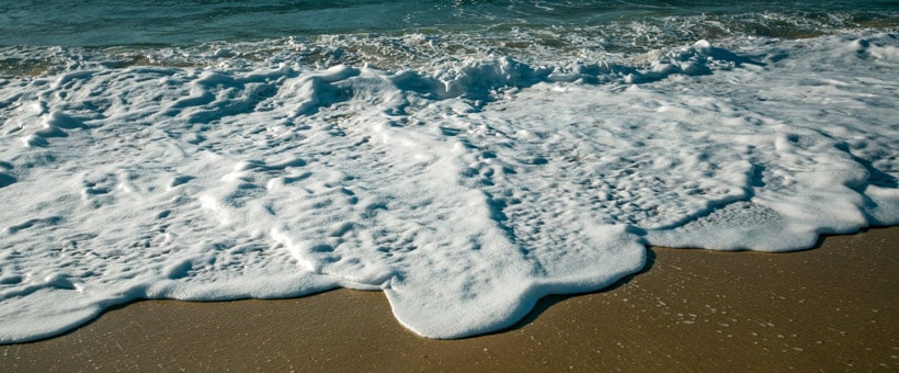 2026 Beach Tag Prices for the Jersey Shore